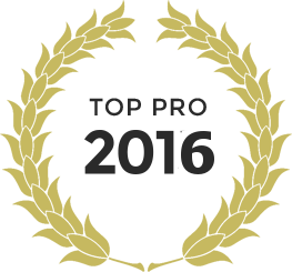 Top pro 2016